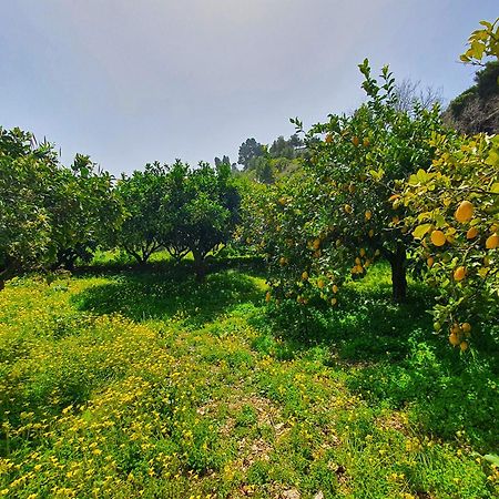 Villa Tommaso Maruggi, Sicilia, Con Jacuzzi E Piscina Privata Alcamo Εξωτερικό φωτογραφία